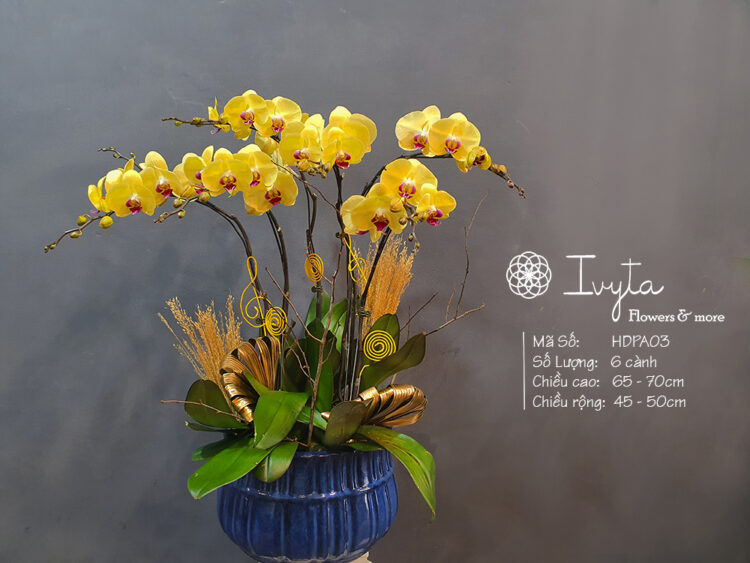Lan Hồ Điệp