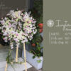 Hoa Viếng Đám Tang