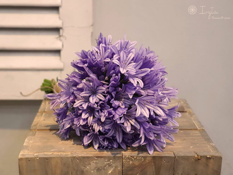 Hoa Cưới