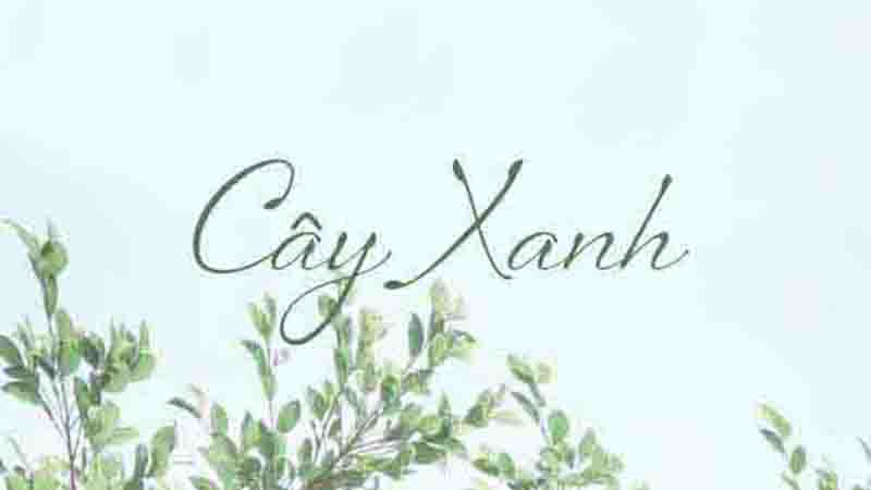 Cây Xanh