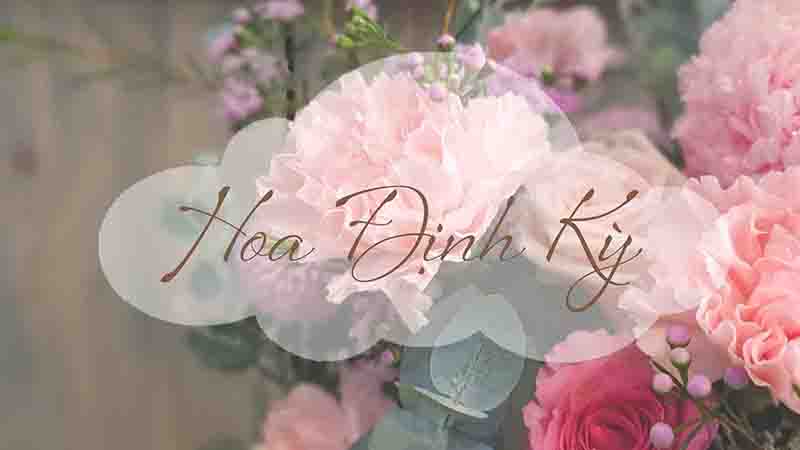 Hoa Định Kỳ