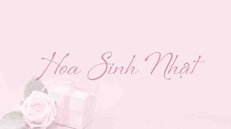 Hoa Sinh Nhật
